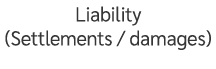 Liability (Settlements / damages)