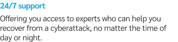 24/7 support Offering you access to experts who can help you recover from a cyberattack, no matter the time of day or...