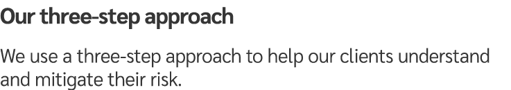 Our three step approach We use a three step approach to help our clients understand and mitigate their risk.